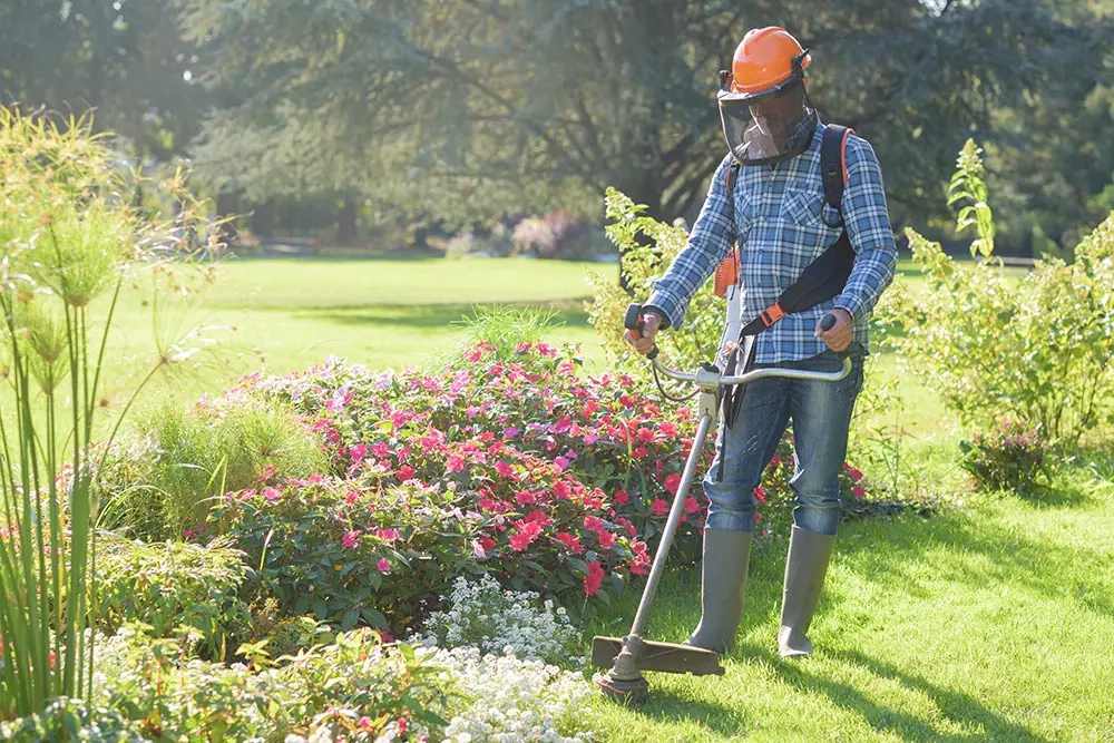 Entreprise d’entretien d’espaces verts